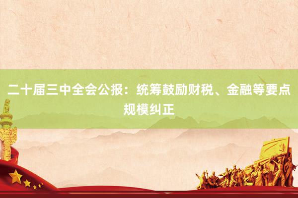 二十届三中全会公报：统筹鼓励财税、金融等要点规模纠正