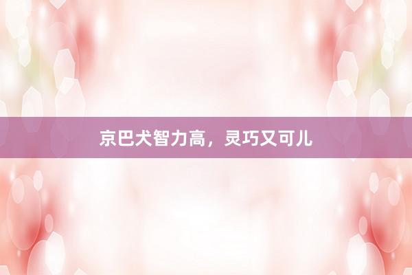 京巴犬智力高，灵巧又可儿